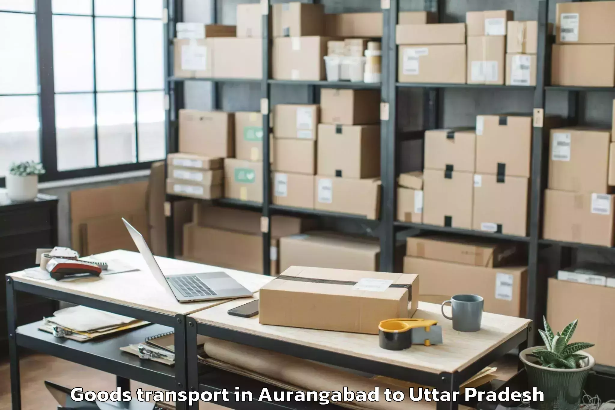 Professional Aurangabad to Gardens Galleria Lucknow Goods Transport